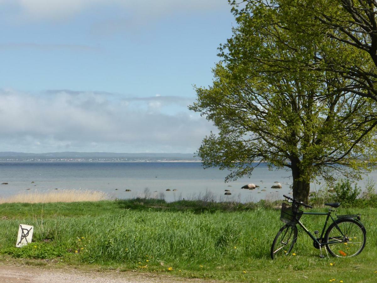 Fiskarstugan I Norra Haeljaroed Norra Haljarod Exterior foto